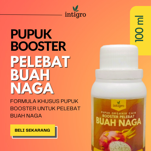 Pupuk Buah Naga Organi Cair Booster Buah Naga Pupuk Booster Buah Naga Pupuk Perangsang Buah Melebatk