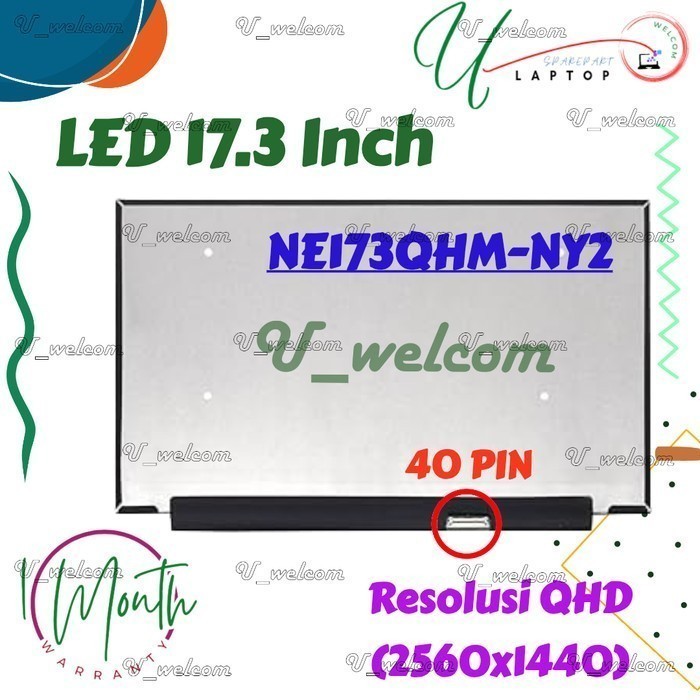 LED LCD 17.3 Razer Blade 17 RZ09-0423EEA3 NE173QHM-NY2 QHD (2560x1440) 40 Pin 165HZ