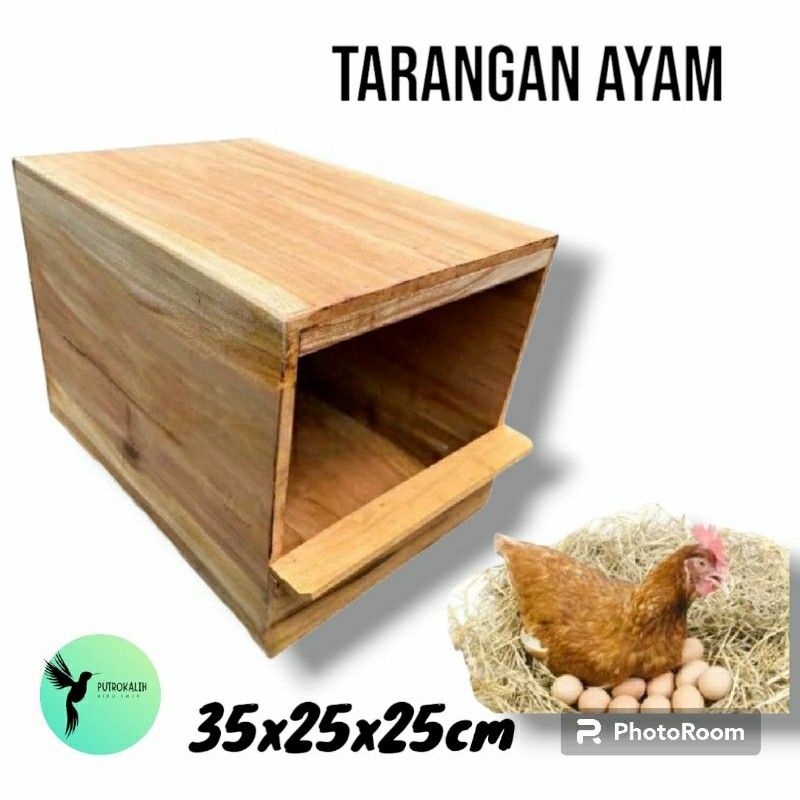 Tarangan ayam kotak bertelur ayam