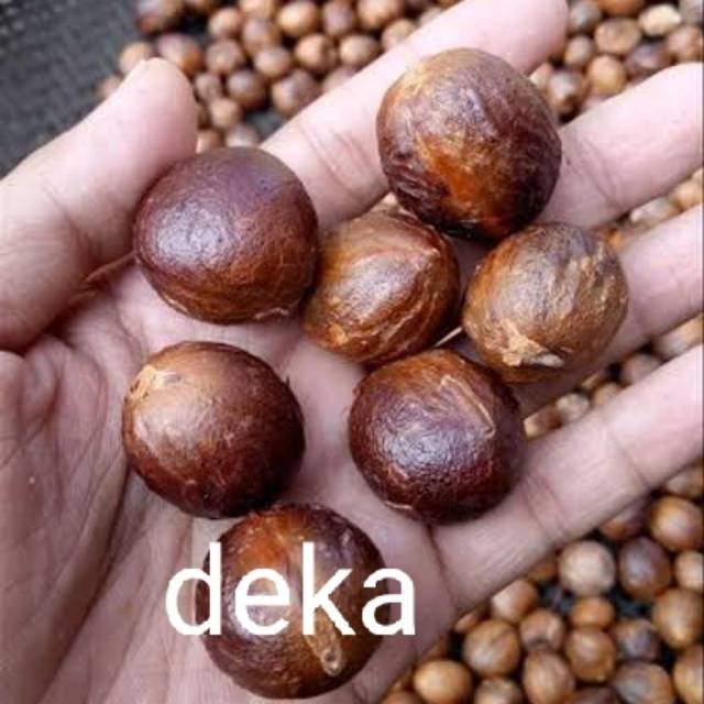 

COD Buah pala kering '