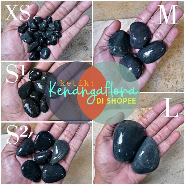 BATU KORAL HITAM BENGKULU 10 kg