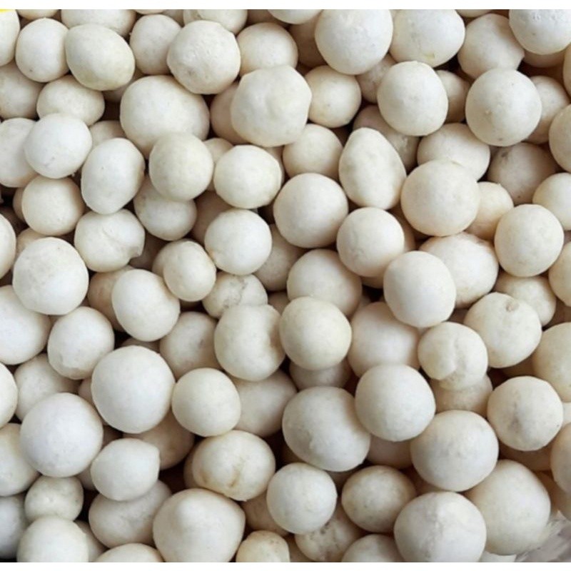 

Kacang sukro putih 1kg