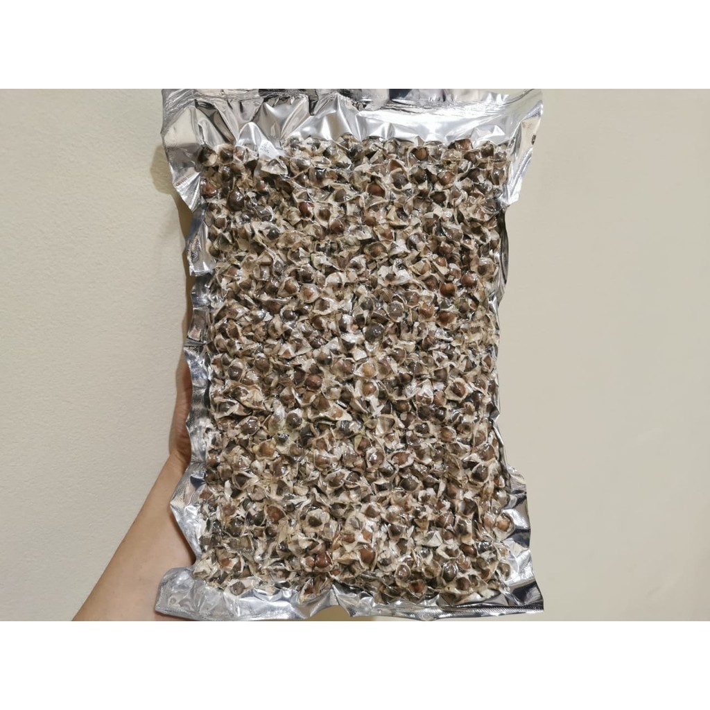 

Biji kelor moringa seed 1 kg la mu ce la mu tze lamuce lamutze