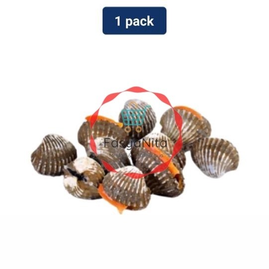 

Kerang Dara 1 pack (400 - 600 gr) - Fasyanita Denpasar