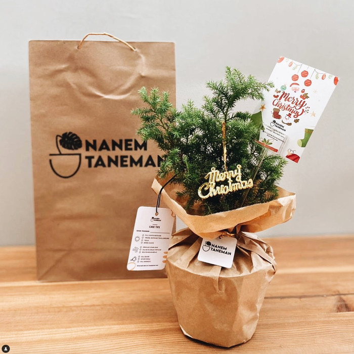 

Best Seller Paket Hampers Cemara Embun - Kertas Coklat