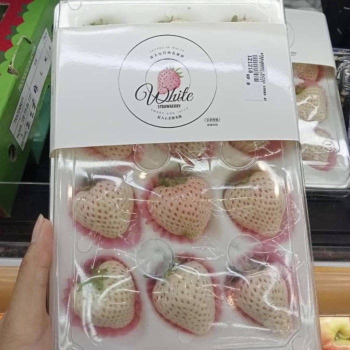 

Promo Strawberry white super | strawberry putih fresh pack