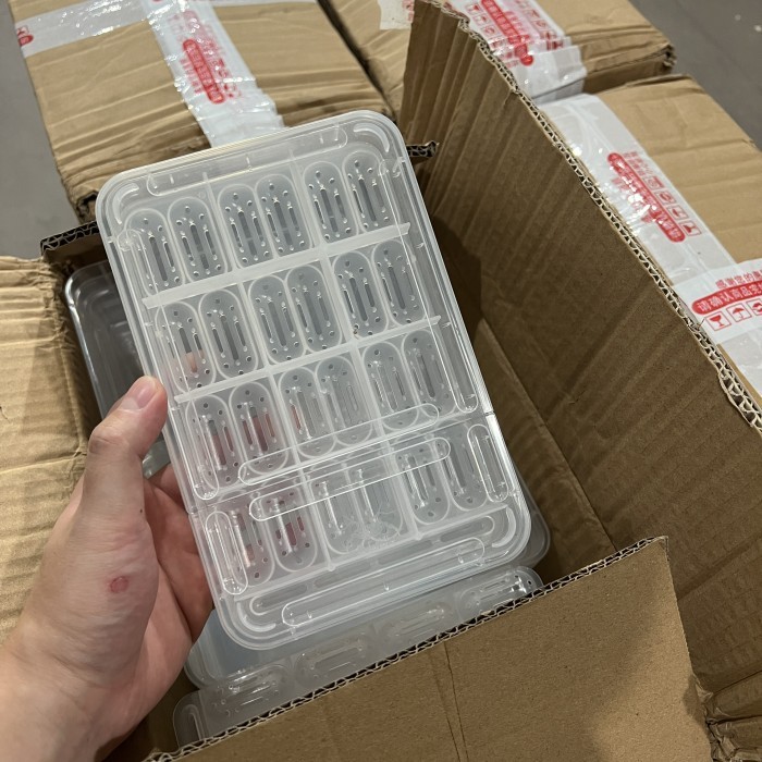 Incubator telur gecko, tempat telur gecko, inkubator telur reptil,