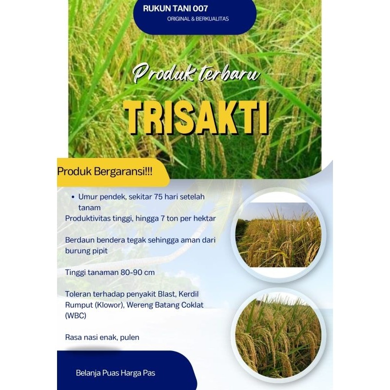 Bibit Benih Padi Trisakti Premium Kemasan 5Kg Original