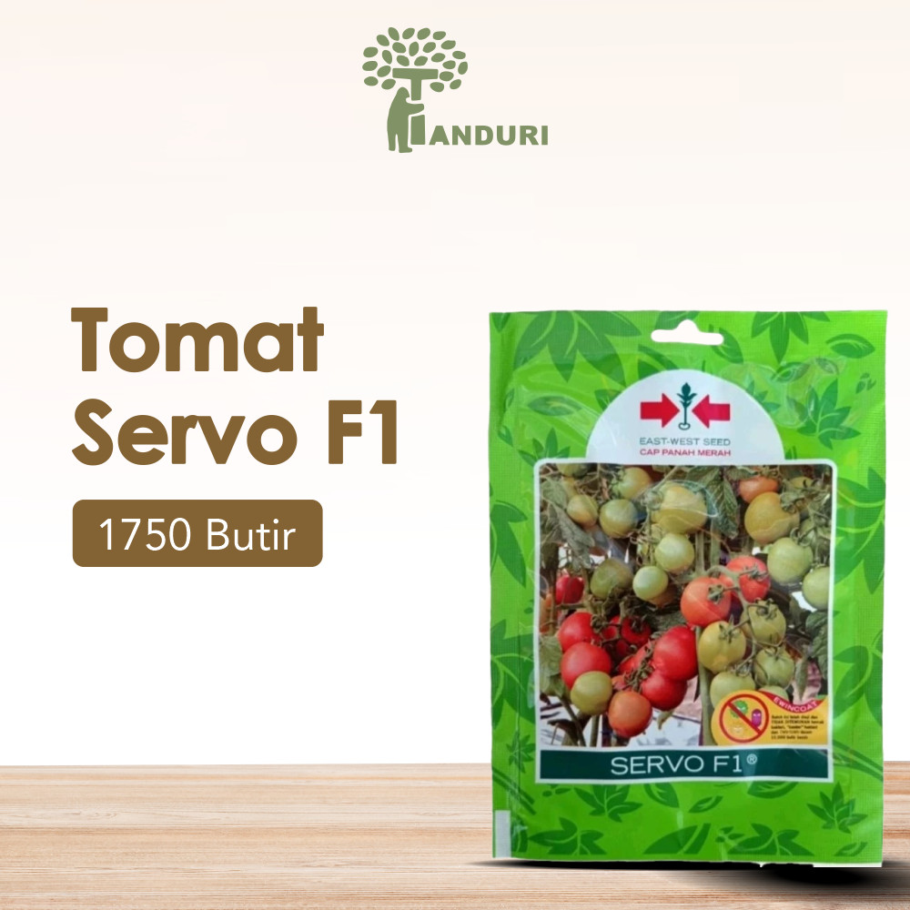 TANDURI - Bibit Tomat Servo F1 Benih Tomat Servo F1 1750 Butir Original Benih Buah Tomat Servo Bibit
