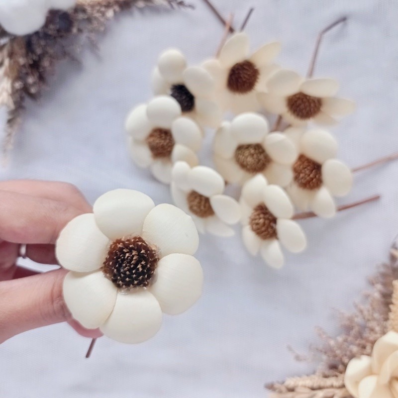 BUNGA DAISY KERING / DRIED FLOWER KK11