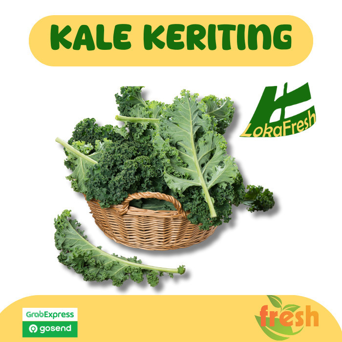 

Kale Keriting/ Curly Kale Fresh 250gram