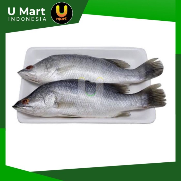 

U Mart - Ikan Kakap Putih Segar 1 kg Fresh