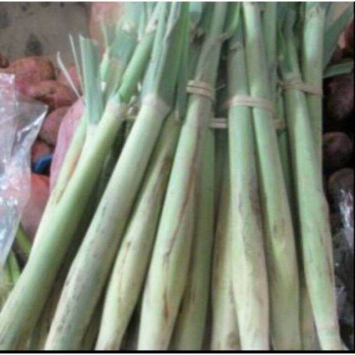 

Ready stok New turubuk sayur segar 1kg- terubuk sayur