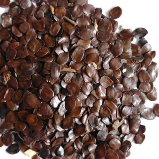 COD 1Kg Siap Tanam Benih Biji Tanaman Pohon Johar-Biji Johar-Biji Juwar  Kualitas Unggul Terlaris