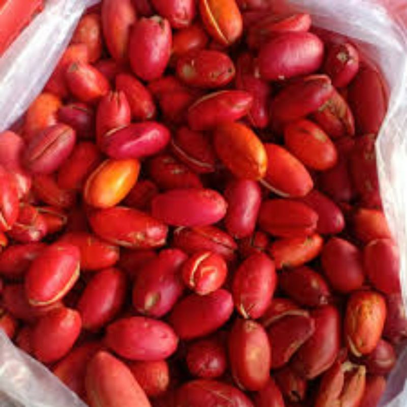 

Kulit Melinjo Segar, kulit mlinjo segar, kulit melinjo mentah 1kg, kulit mlinjo, Sayur Melinjo