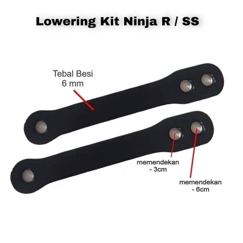 Lowering kit ninja R & SS