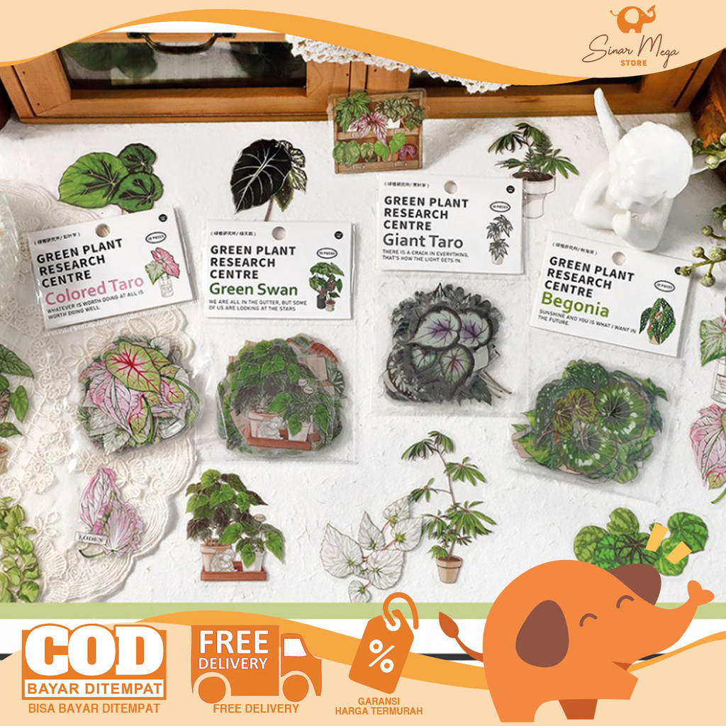 

Green Plant Research Centre Flake Stickers Set - Stiker Deco Tanaman Isi 30 Murah
