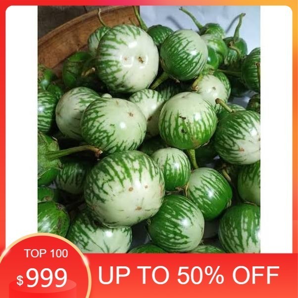 

LBJ Terong Ijo Lalapan Super Fresh Kualitas Super 500gr