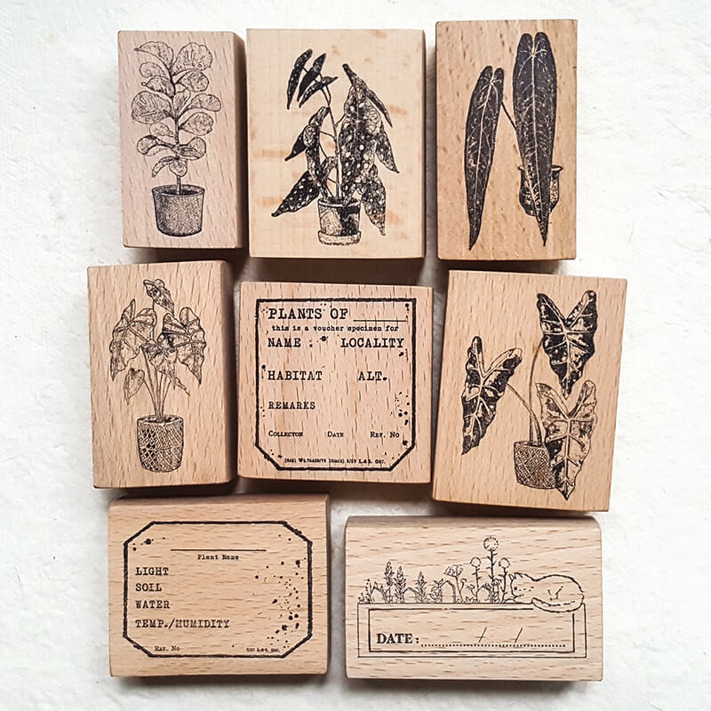 

Scrapbooking Stamp Indoor Plant Lover Alocasia Anthurium Begonia Diary Decoration Journaling Wooden Stamps