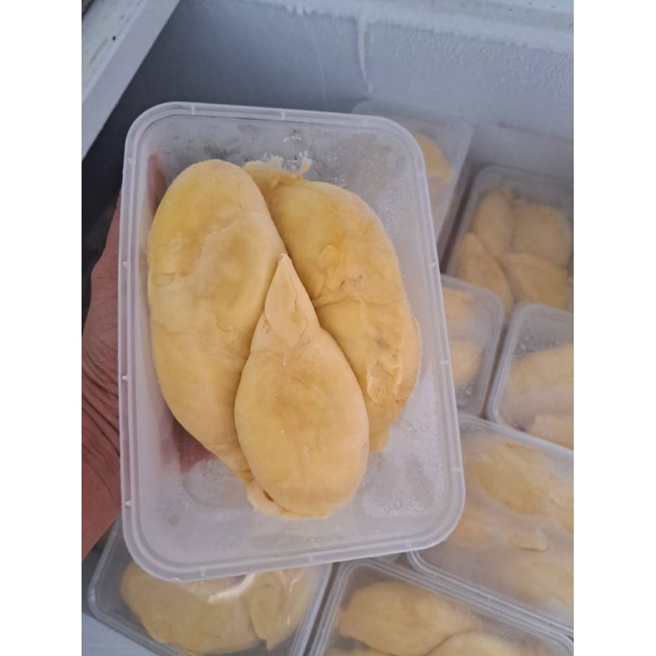 

durian montong palu premium 500gram - 500gr