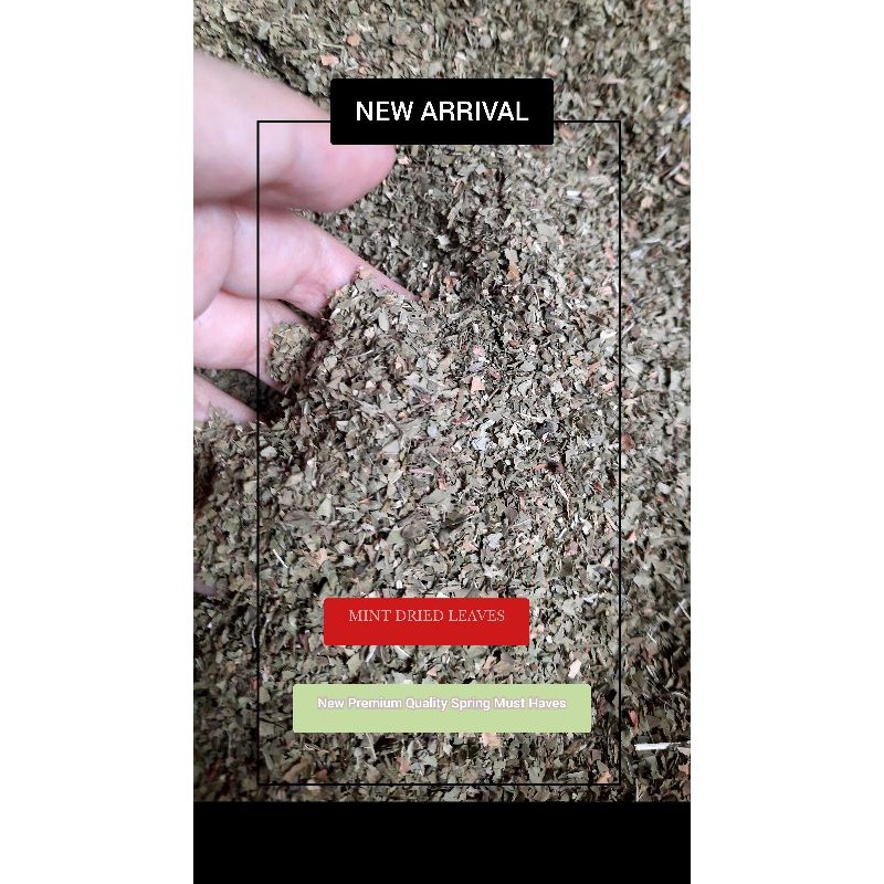 

DRIEND MINT LEAVES 1Kg / Daun Mint Kering 1Kg