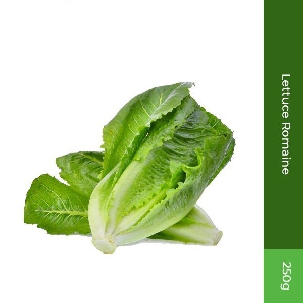 

Lettuce Romaine 250gr