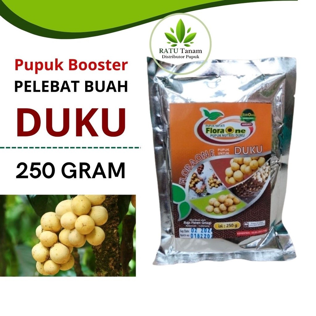 Booster Hayati Buah Duku, Pupuk Organik Pohon Duku, Pupuk Booster Duku Pemicu Cepat Berbuah Lebat