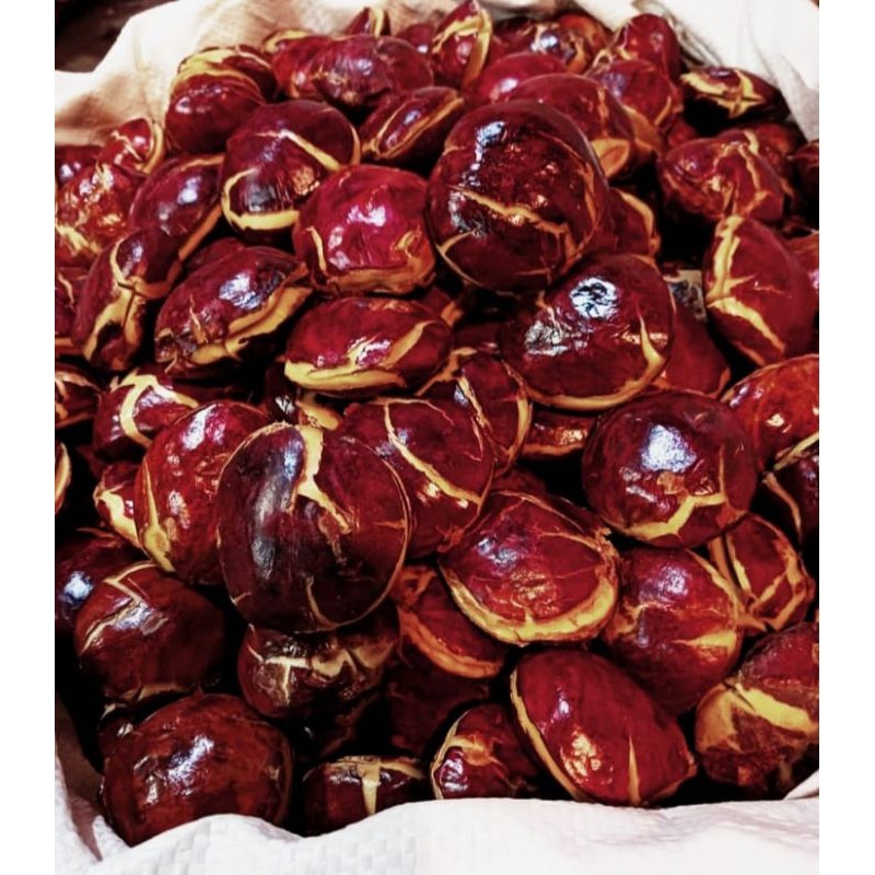 

Jengkol Tua Mentah - Jengkol Super Segar Per Setengah kilo