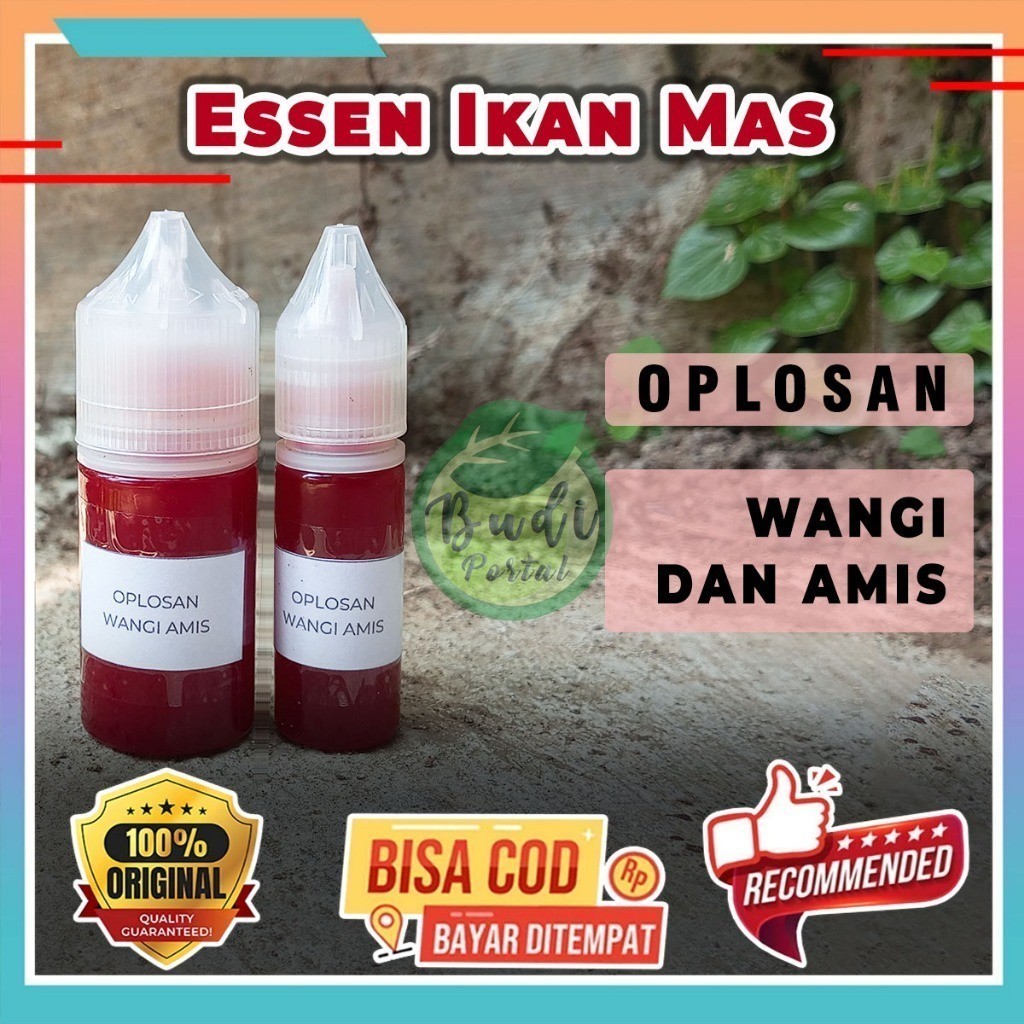 Essen Ikan Mas Oplosan Wangi Amis Ampuh disukai Indukan