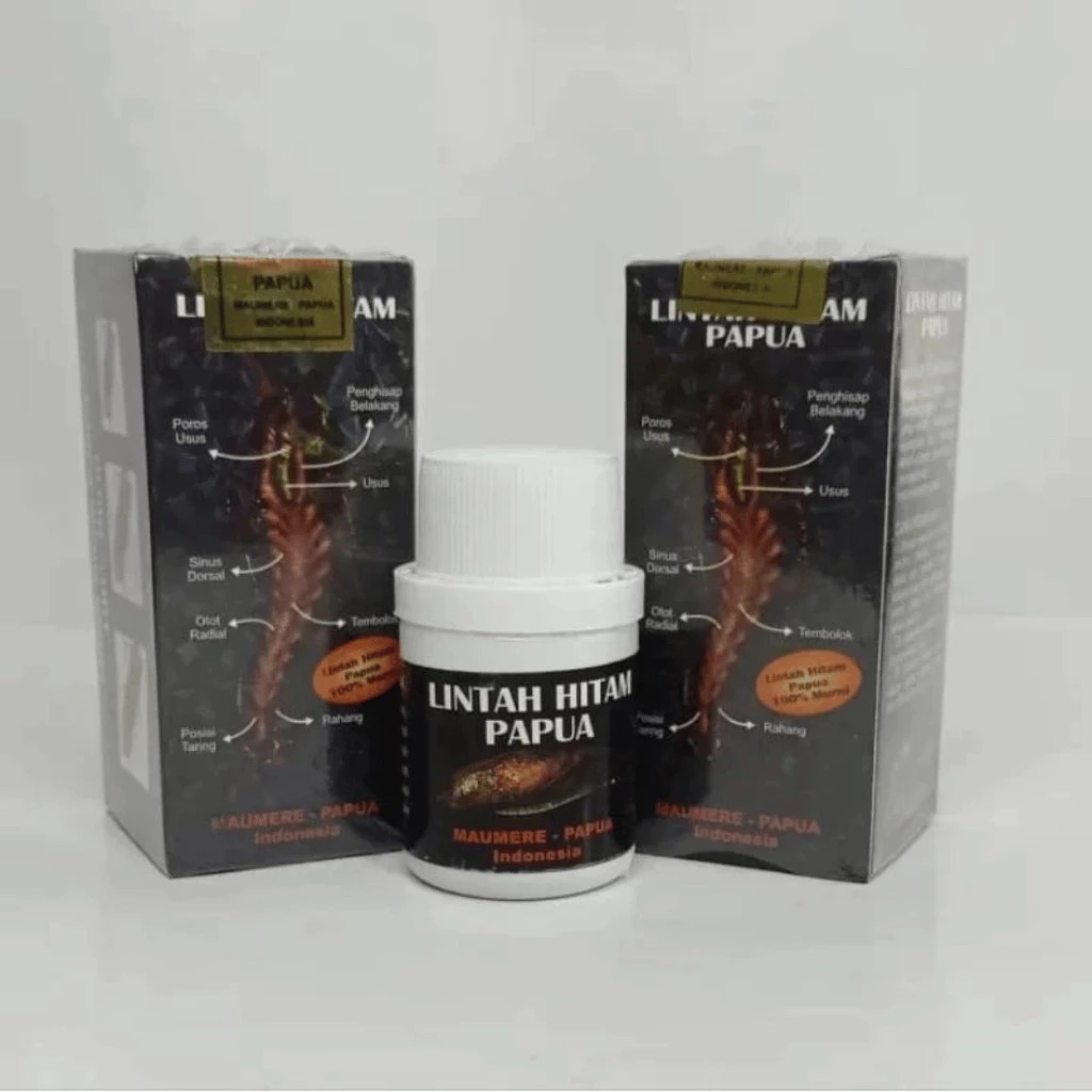 Minyak Lintah Hitam Papua Asli 100% Minyak Lintah Original 100% asli Minyak Lintah Original