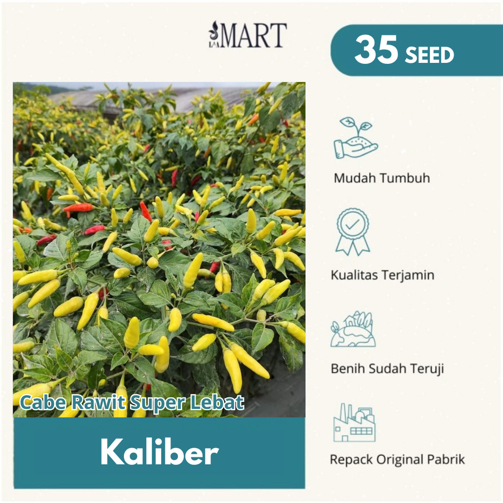 Benih Cabe Rawit Setan Kaliber Original WIJITANI Kemasan Repack