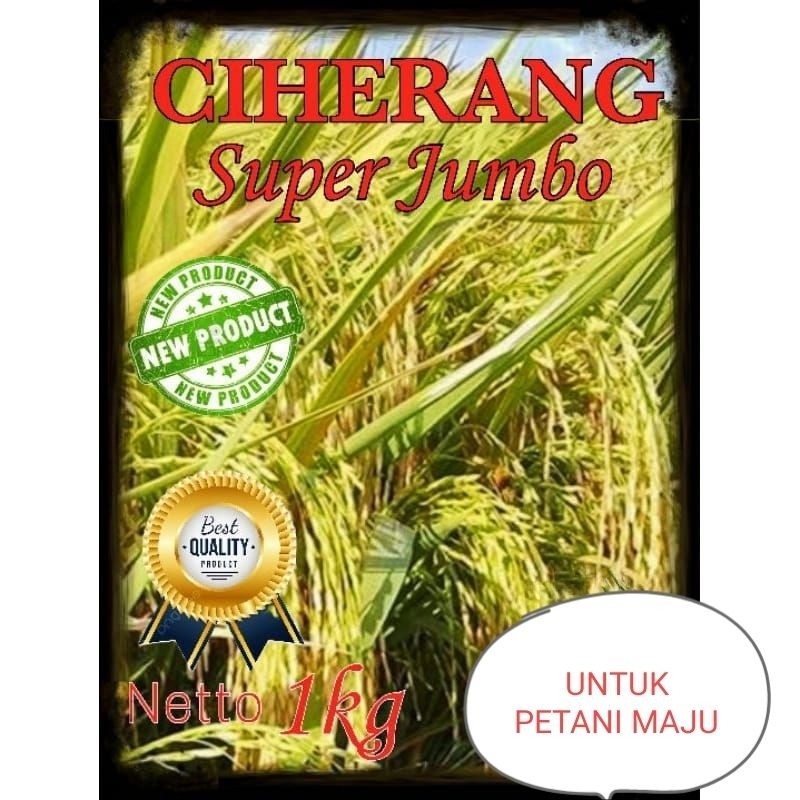 BENIH PADI CIHERANG SUPER JUMBO 1KG