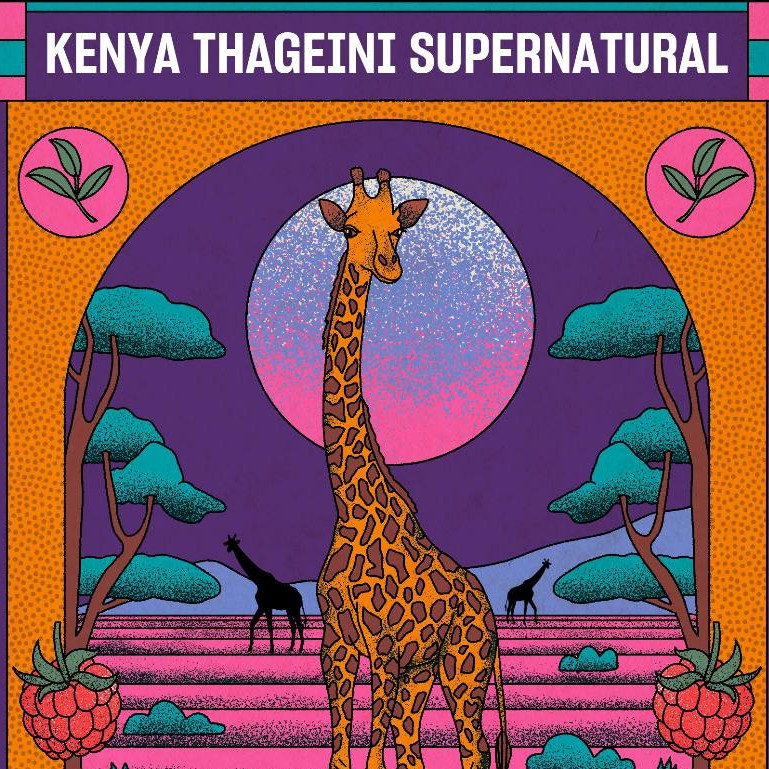

Kenya Thageini Supernatural Kopi Arabika Single Origin Specialty Coffee