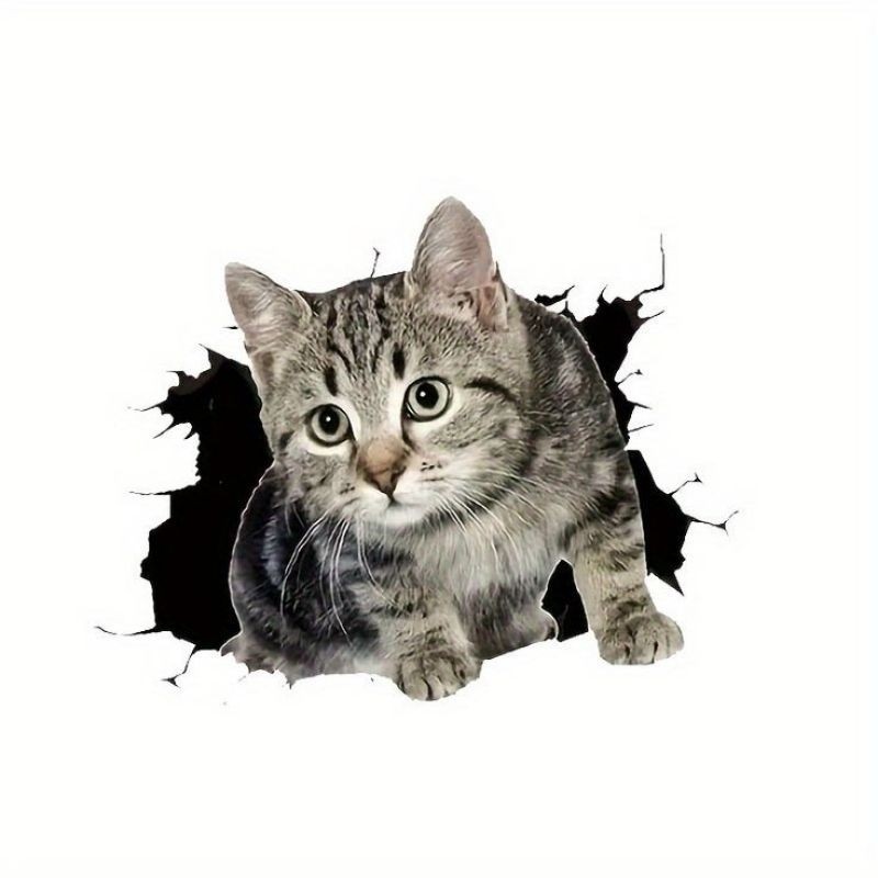 

stiker kucing 3d lucu