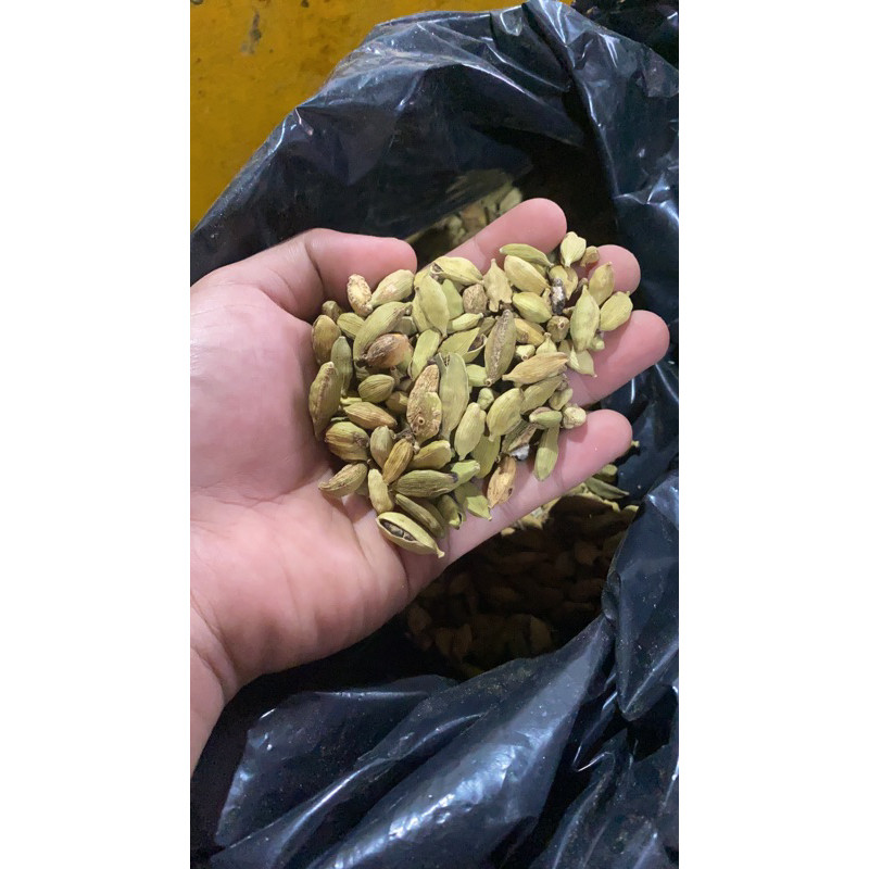 

Kapulaga Arab 100gr - Kapulaga Hijau - Kapulaga India