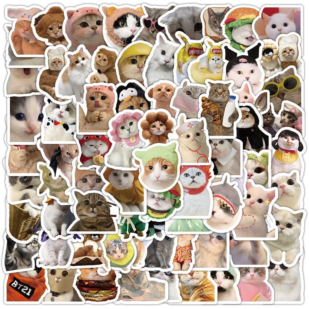 

10/50/100pcs Cute Funny Cat MEME Stickers PVC Waterpoof Decals Laptop Phone Luggage Stationary Kawaii Animal Sticker Toys Gift