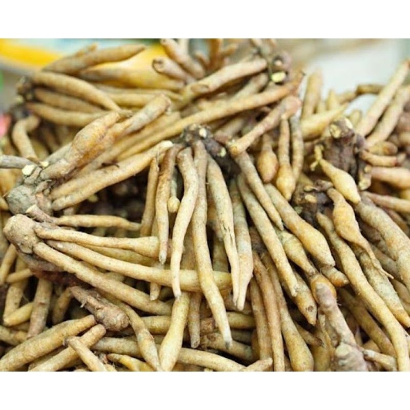 

Temu Kunci Segar 500g ,Penyedap rasa masakan/obat herbal alami