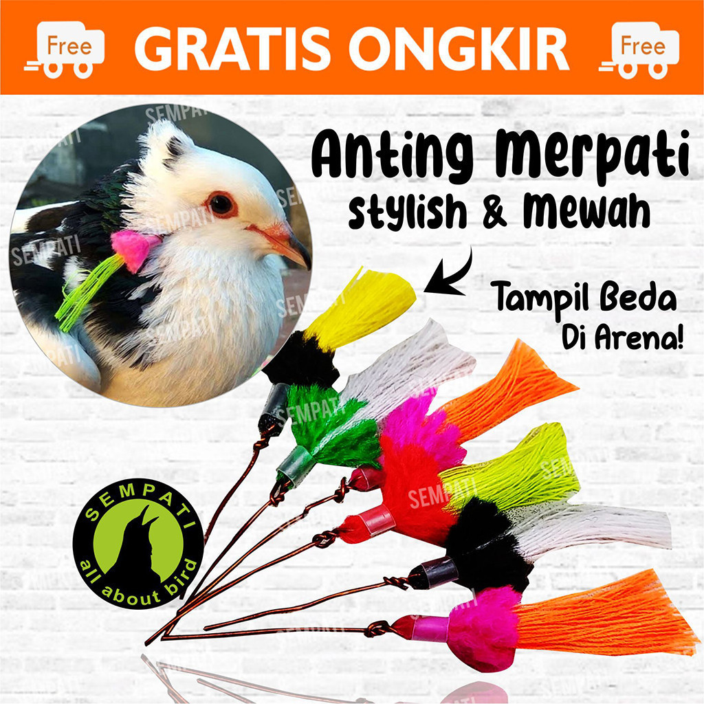 SEMPATI Anting Burung Merpati Pos Lomba Tomprang Kolong Giwang Hias Hiasan Telinga Burung Dara Antin