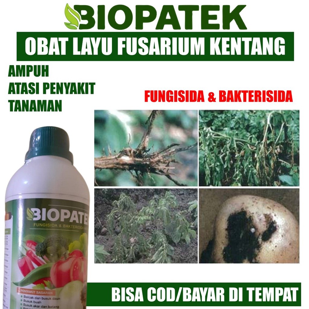 BIOPATEK 500 ML Fungisida Hayati Obat Hama Mengatasi Layu Fusarium pada Tanaman & Buah Kentang Palin