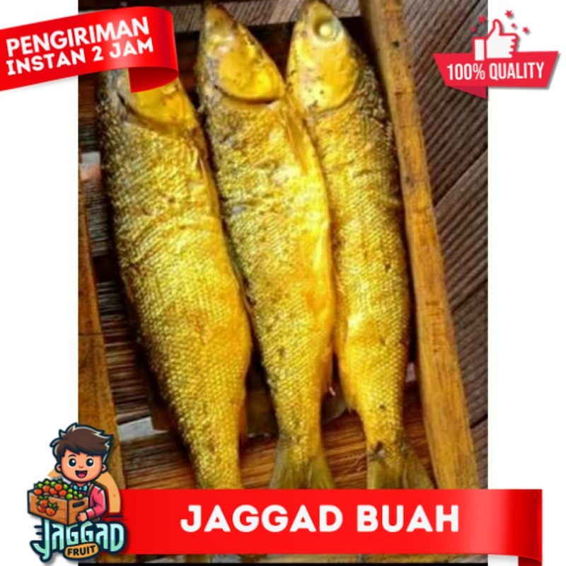 

Bandeng Presto 1 Paket isi 3 Ekor / Belanja di Semarang / Belanja Murah Semarang