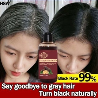 Shampo Penghilang Uban Permanen Penghitam Black 300ml Herbal Natural Polygonum Multiflorum Anti Keto