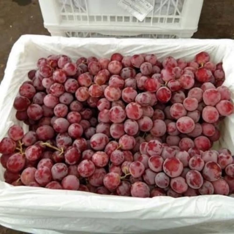 

BUAH ANGGUR RED GLOBE RRC PER KERANJANG (6KG)