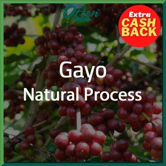 

Green Bean Arabica Aceh Gayo Natural Process - 1 Kg