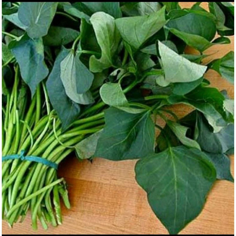 

DAUN UBI SEGAR PER 3 iket ya kak