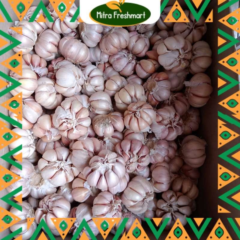 

Bawang Putih / Bawang putih makassar fresh