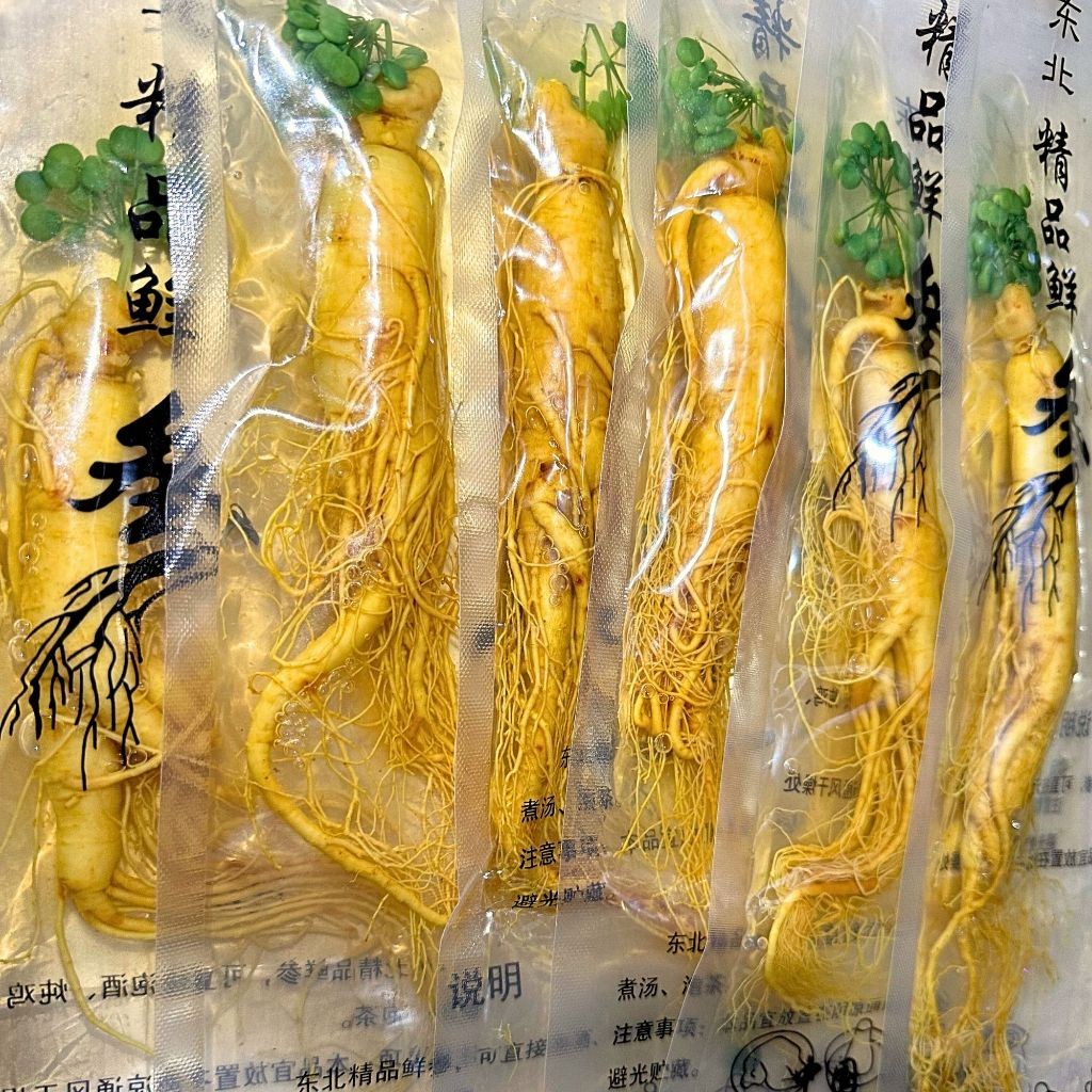 

Ginseng Fresh Hidup Perbatang 100gram 100% Asli