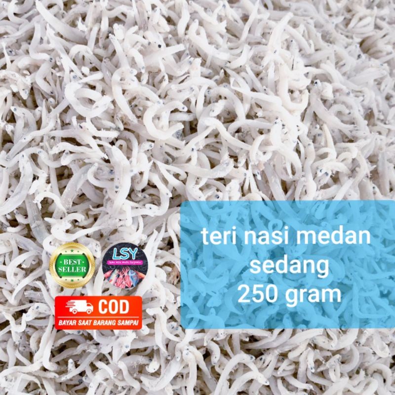 

TERLARIS Ikan Asin Teri Nasi Medan 250gr Protein Tinggi