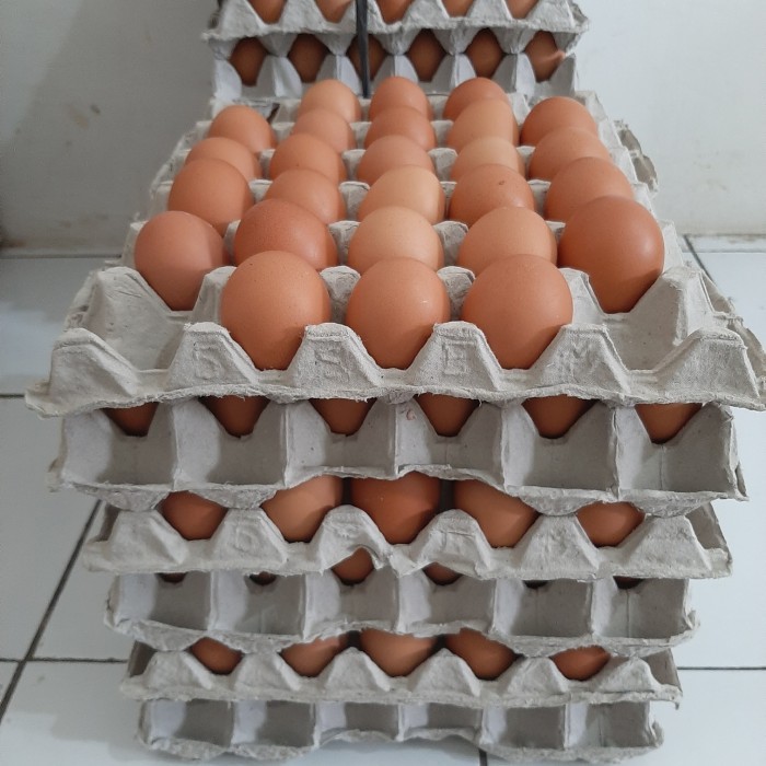 

TELUR AYAM NEGRI / TELUR AYAM PER 1 TRAY