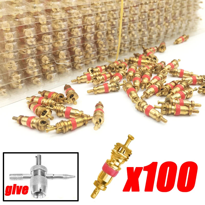 Spuyer Isi Pentil Ban Tubeless Motor Mobil Per 100 Pcs/Spuyer Isi Pentil Ban Mobil Motor Sepeda