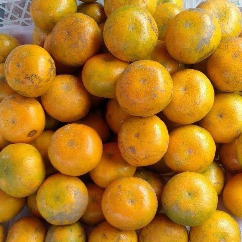 

UD BUAH 3 SAUDARA Buah Jeruk Medan Super Manis (1kg isi 7-9buah) [KHUSUS INSTAN DAN SAMEDAY]